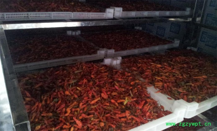 西莱特XLT_600RD 食品烘干机 中药材烘干机 海产品烘干机 木材烘干机 农产品烘干机图6