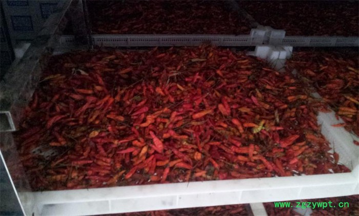 西莱特XLT_600RD 食品烘干机 中药材烘干机 海产品烘干机 木材烘干机 农产品烘干机图7