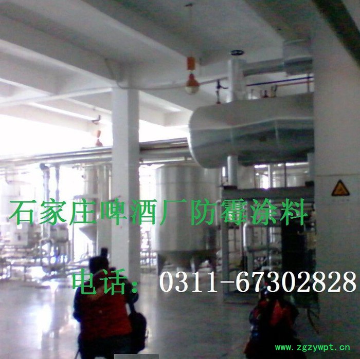 供应胜发F66防霉涂料 酿造车间防霉涂料 承德中药车间防霉涂料 电商直销图3