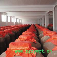 供应胜发F66防霉涂料 酿造车间防霉涂料 承德中药车间防霉涂料 电商直销