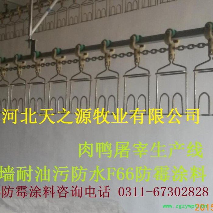 供应胜发F66防霉涂料 酿造车间防霉涂料 承德中药车间防霉涂料 电商直销图8