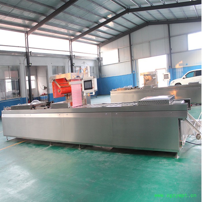 鸿信智造 中药保鲜真空包装机 零食拉伸膜包装机 供应真空包装机图2