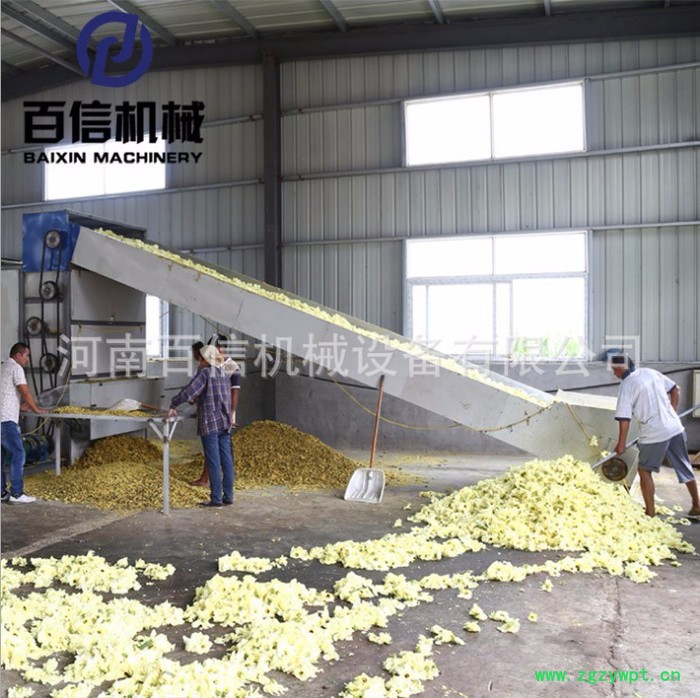 百信佛手烘干机 百信大型佛手烘干机 百信佛手烘干设备 百信连续式网带烘干机 百信中药材烘干设备图2