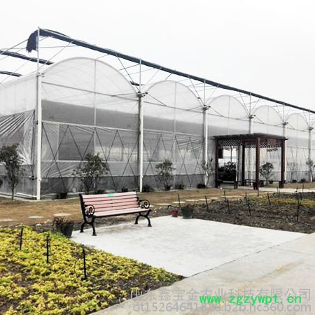 鑫宝金20210508东北木耳温室大棚 西南花卉玻璃温室 西北中药材温室大棚图2