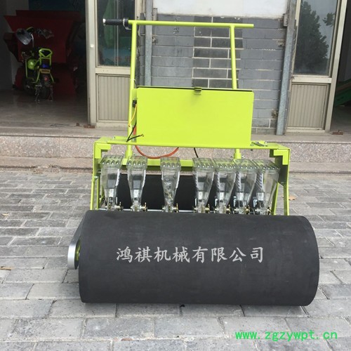 高效蔬菜播种机 鱼台县中药专用精播机 株距可调精播机图8