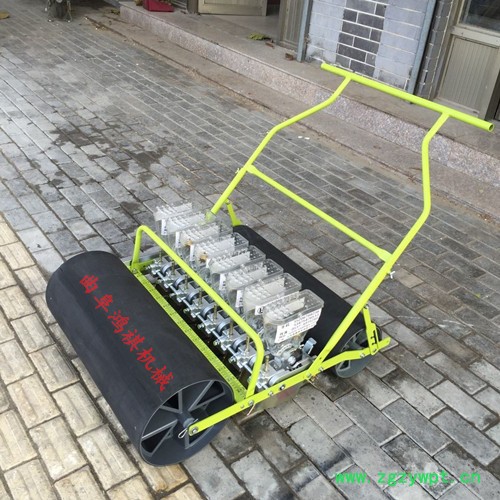 高效蔬菜播种机 鱼台县中药专用精播机 株距可调精播机图4