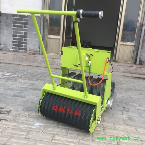 高效蔬菜播种机 鱼台县中药专用精播机 株距可调精播机图5