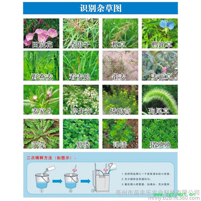 半夏除草剂 半夏专用除草剂 半夏苗后专用除草剂 中药材苗后专安用除草剂 禾阔双 除安全不伤苗 半夏 天南星除草剂图3