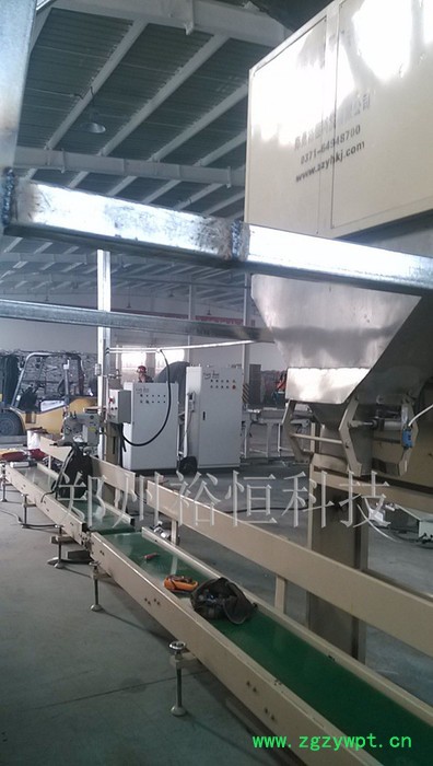 饲料包装机 小麦灌装机  颗粒定量包装机厂家图3