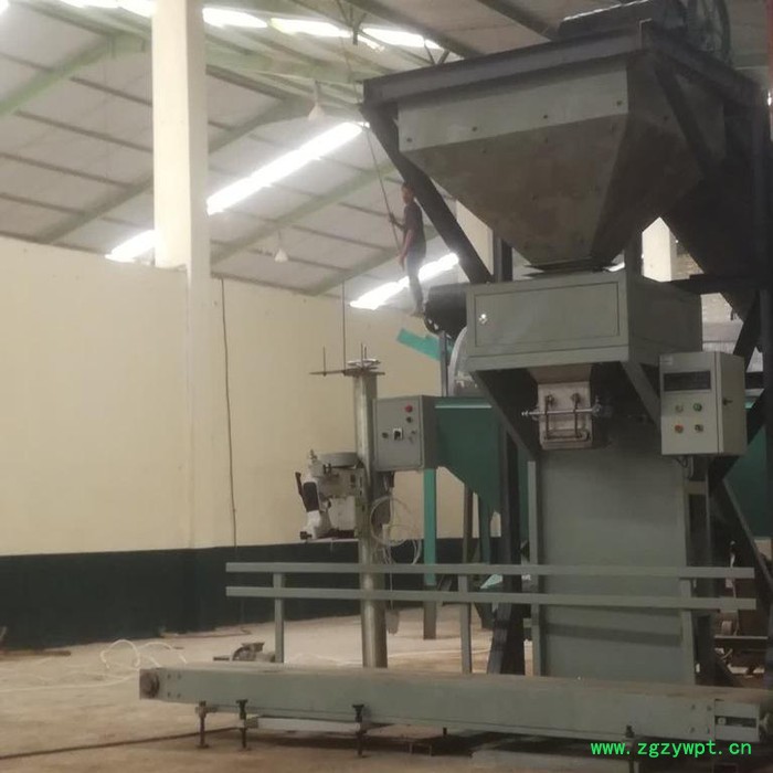 有机肥自动包装机 白砂糖有机肥颗粒自动分装机 复合肥灌装机图4