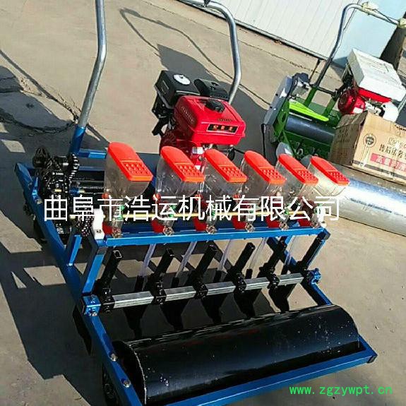 **新型手推式蔬菜精播机 中药材小颗粒蔬菜播种机 人力播种机图4