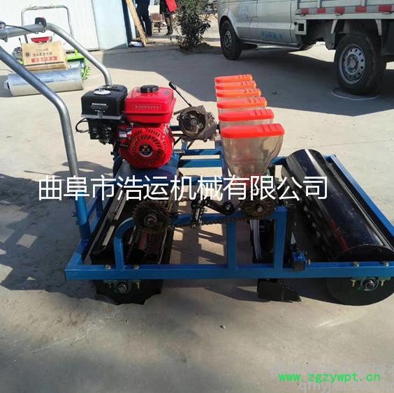 **新型手推式蔬菜精播机 中药材小颗粒蔬菜播种机 人力播种机图2