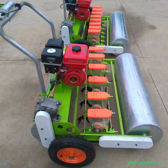 行距株距可调节芹菜白菜精播机 多行人力手推中药材蔬菜播种机图2