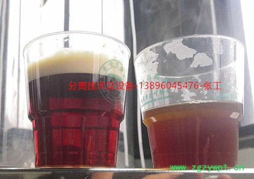 供应佳和过滤CQ80型中药口服液专用澄清过滤器 口服液澄清设备