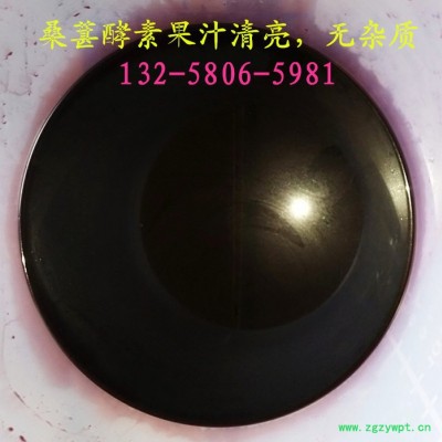 框栏液压式过滤提取设备 中药渣深层发酵酵素液渣汁分离压榨机