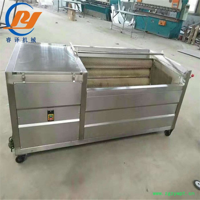 土豆去皮机 马铃薯毛辊清洗脱皮机 睿译不锈钢中药材毛刷清洗机可定制图3