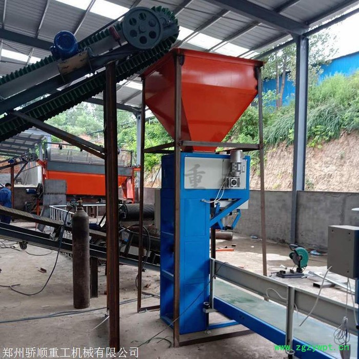 上海 颗粒包装机 谷物称重灌装机 价格美丽图7