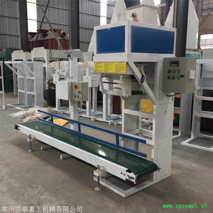 上海 颗粒包装机 谷物称重灌装机 价格美丽图2