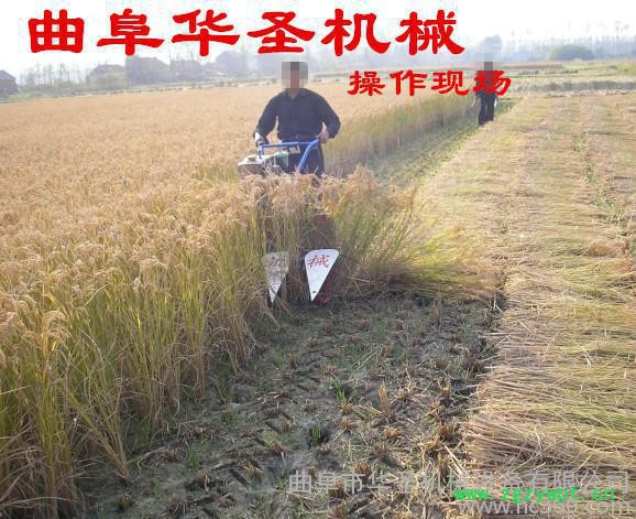 小型汽油动力割草机 辣椒割晒机 中药材收割机图2