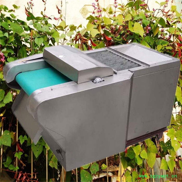 生姜萝卜黄瓜猴头蘑切片机 曲阜 多功能马铃薯切片机 中药材切段机富兴图8