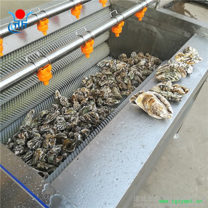 多功能洗菜机 莲藕清洗机 毛刷清洗机 中药材清洗机图5