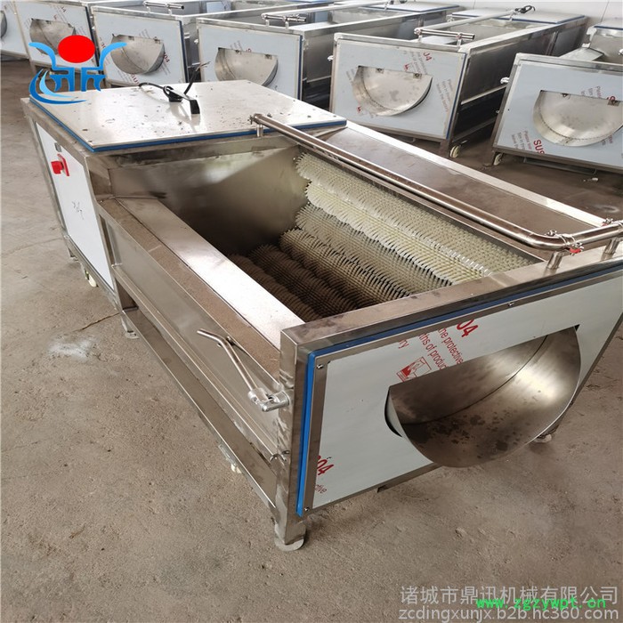 多功能洗菜机 莲藕清洗机 毛刷清洗机 中药材清洗机图2