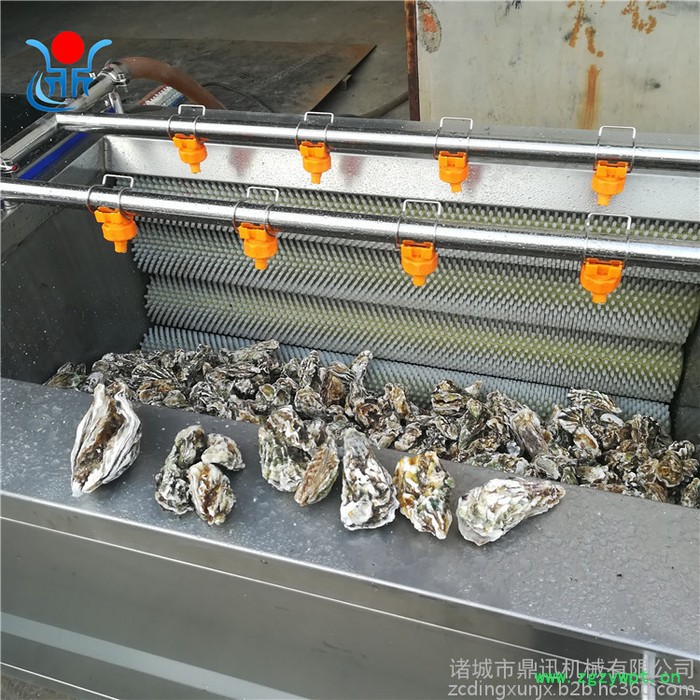 多功能洗菜机 莲藕清洗机 毛刷清洗机 中药材清洗机图6