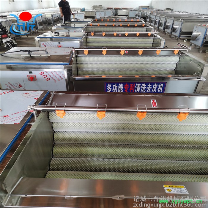 多功能洗菜机 莲藕清洗机 毛刷清洗机 中药材清洗机图4