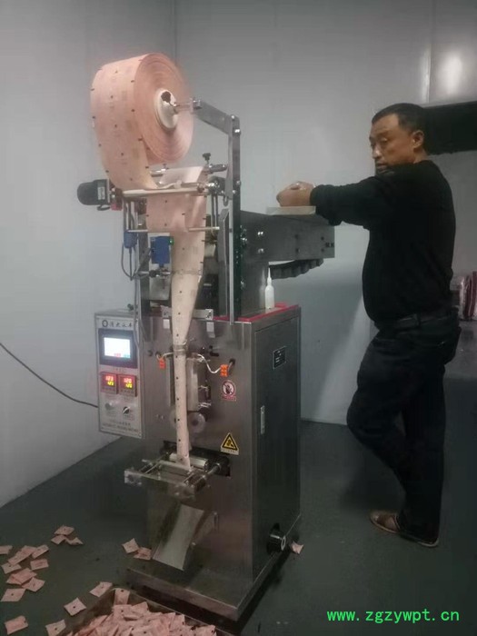 定制款北京清大永丰DXD-LZ 链斗式包装机 中药丸包装机 **丸包装机 背封/三边封丸剂包装机 一件也包邮图2