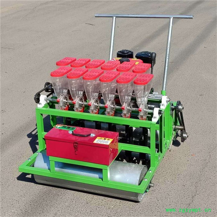 单粒免间苗谷子精播机/中药材蔬菜施肥播种机价格图4