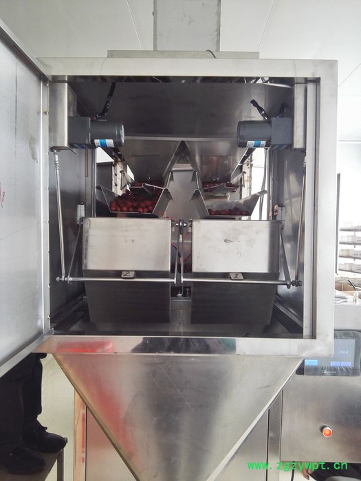 供应红枣称重计量包装机红枣颗粒灌装机红枣灌袋机红枣计量充填机