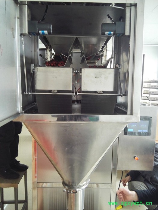 供应红枣称重计量包装机红枣颗粒灌装机红枣灌袋机红枣计量充填机图2