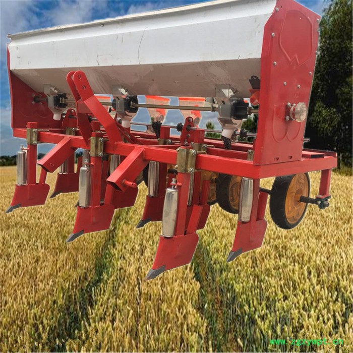 单粒免间苗谷子精播机  中药材蔬菜施肥播种机 电动自走精播机图2