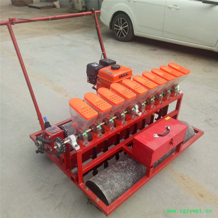 智航免间苗胡萝卜人参播种机 中药材播种机 多功能蔬菜播种机图2