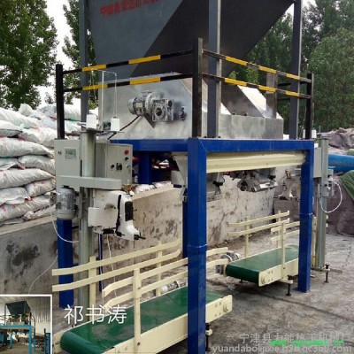 力能-1000颗粒定量包装机 粉体定量包装机 煤球包装机 定量灌装机