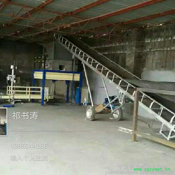 力能-1000颗粒定量包装机 粉体定量包装机 煤球包装机 定量灌装机图2