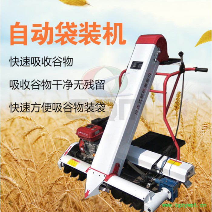 汽油粮食灌装机 粮食颗粒装袋机 农用粮食装袋机 粮食装袋机厂家图8