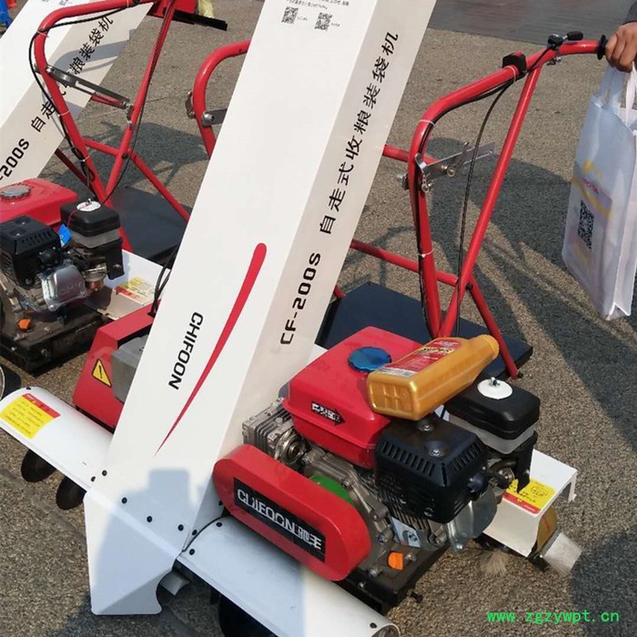 汽油粮食灌装机 粮食颗粒装袋机 农用粮食装袋机 粮食装袋机厂家图2