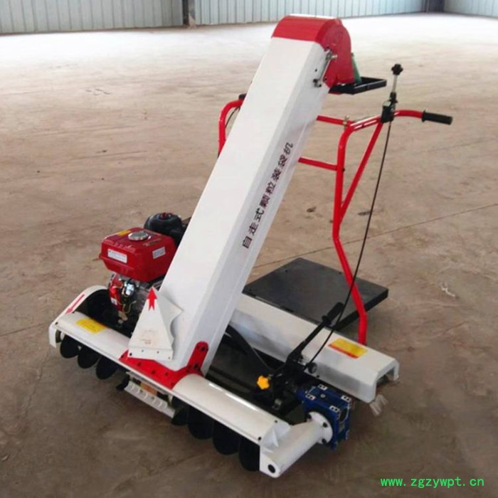 汽油粮食灌装机 粮食颗粒装袋机 农用粮食装袋机 粮食装袋机厂家图3