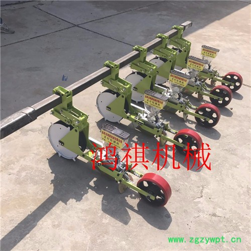 鸿祺中药材蔬菜播种机 白菜菜籽种子播种机 四轮配套播种机图3