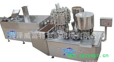 德国口服液灌装生产线 意大利小剂量灌装生产线图2