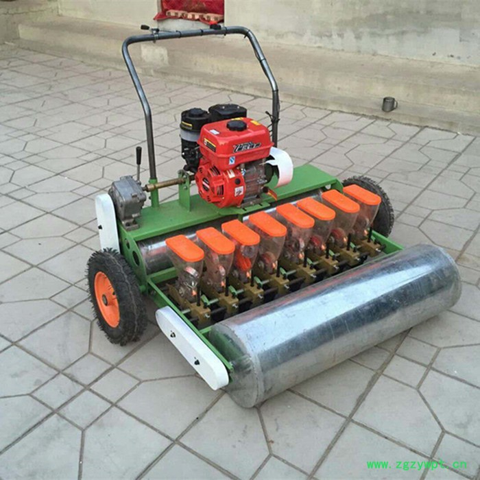 供应人力手推式桔梗精播机 黄芩中药材小颗粒播种机 胡萝卜苜蓿播种机图3