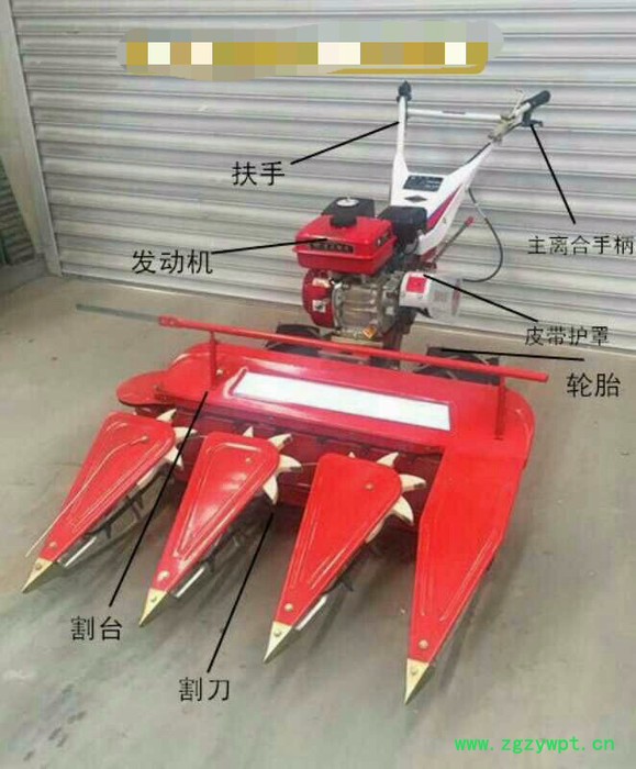 富兴柴油宽幅自走割晒机 大豆辣椒割晒机 柴油中药材收割机图8