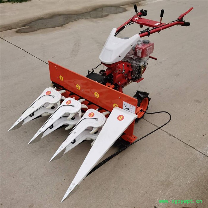 富兴柴油宽幅自走割晒机 大豆辣椒割晒机 柴油中药材收割机图4