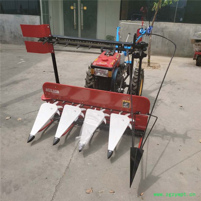 富兴柴油宽幅自走割晒机 大豆辣椒割晒机 柴油中药材收割机图3