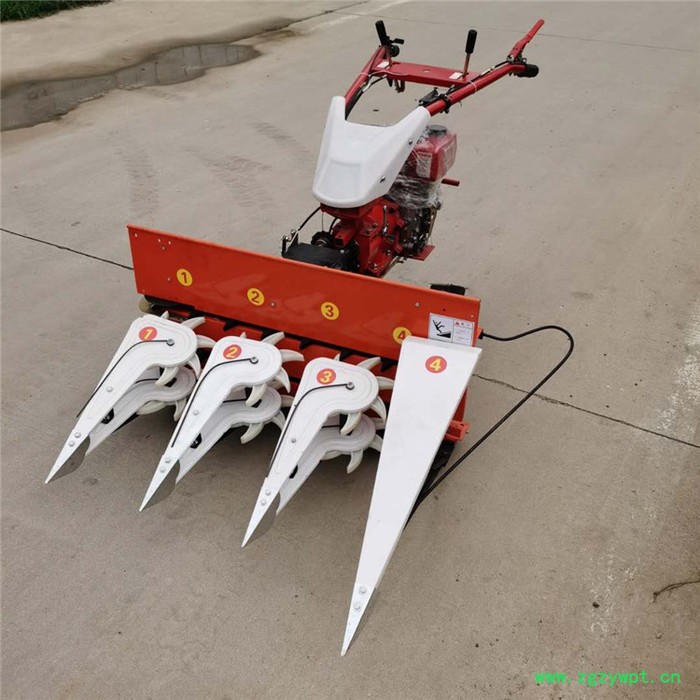 富兴柴油宽幅自走割晒机 大豆辣椒割晒机 柴油中药材收割机图5