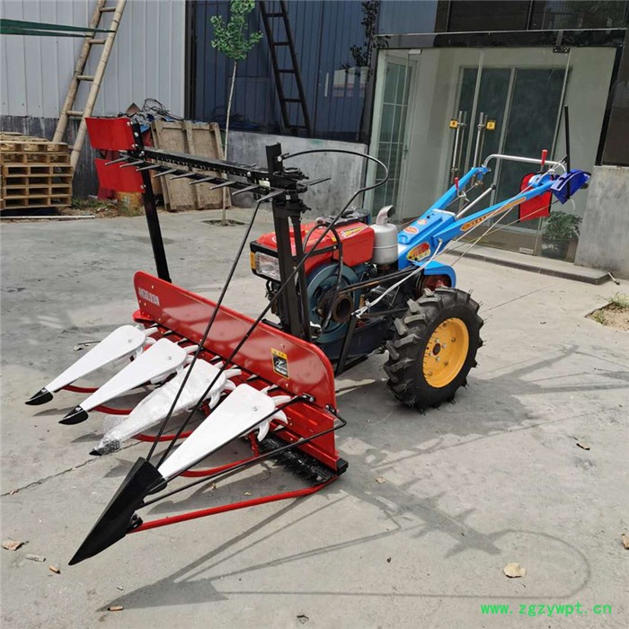 富兴柴油宽幅自走割晒机 大豆辣椒割晒机 柴油中药材收割机图2