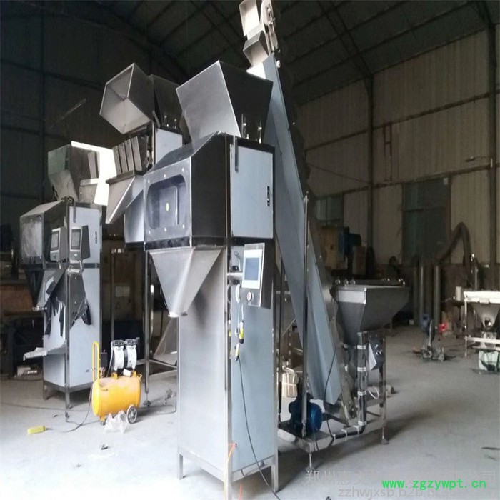 供应惠文称重颗粒灌装机 颗粒全自动灌装机 瓜子颗粒灌装机生产图2