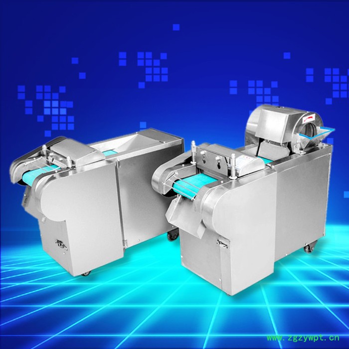 中药材切片机 胡萝卜切丝机 环保型切菜机图8