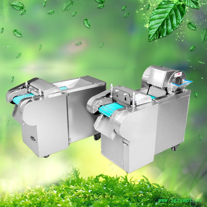 中药材切片机 胡萝卜切丝机 环保型切菜机图6